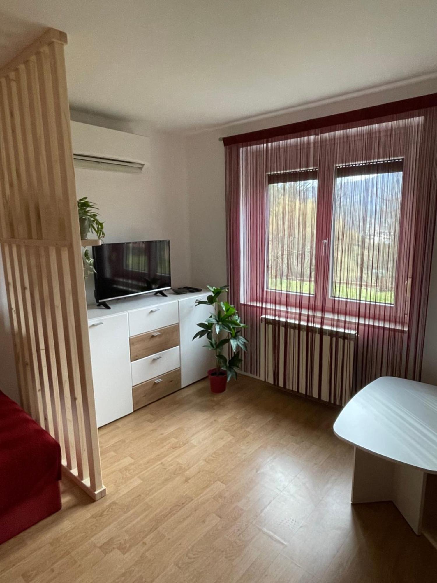 Apartma Savan Tolmin Exteriér fotografie